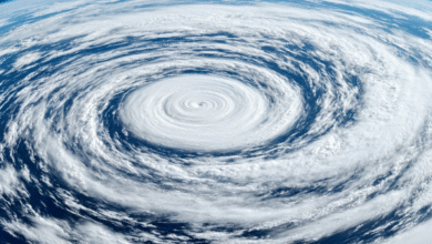 polar vortex collapse winter weather